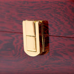 Boîte à Montre de Luxe